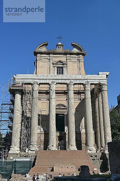 Tempel des Antoninus und der Faustina  Forum Romanum  Rom  Italien  Europa