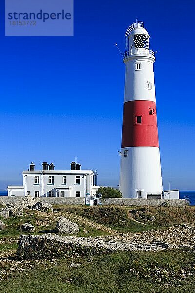 Leuchtturm von Portland  Isle of Portland  Dorset  England  Großbritannien  Europa