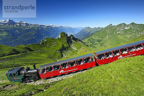 Brienz Rothorn Bahn  Blick vom Brienzer Rothorn  Brienzer See  Bern  Berner Oberland  Schweiz  Europa