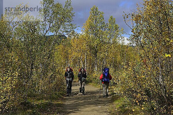 Trekking Nikkaluokta  Kebnekaise Fjällstation  Lappland  Schweden2