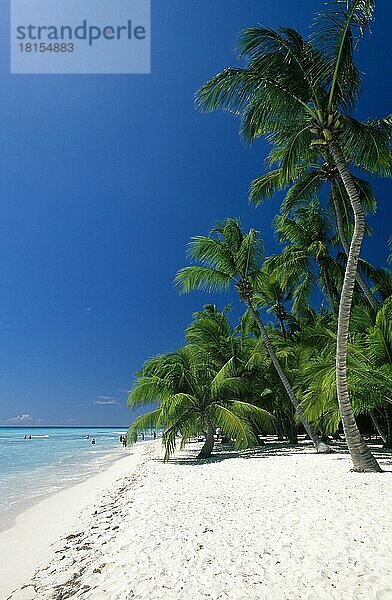 Strand in Playa Bavaro  Punta Cana  Dominikanische Republik  Karibik  Mittelamerika