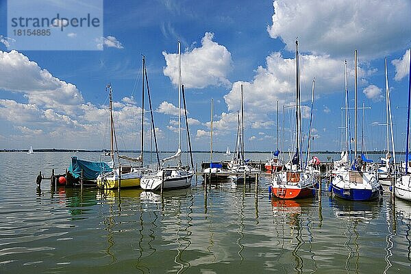 Dümmer See  Lembruch  Niedersachsen  Deutschland  Europa