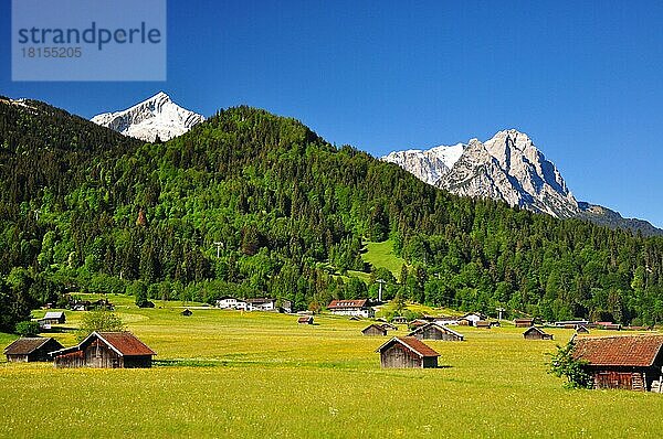 Waxenstein  Wettersteingebirge  Bergwald  Garmisch-Partenkirchen  Loisachtal  Zugspitzland  Bayern  Deutschland  Europa