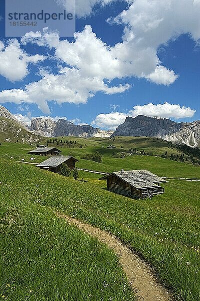 Alm auf der Seceda  Grödnertal  Dolomiten  Trentino Südtirol  Italien  Europa