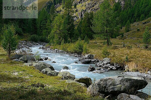 Val Roseg mit Fluss Ova da Roseg  Pontresina  Engadin  Kanton Graubünden  Schweiz  Europa