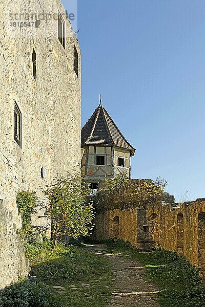 Burg Hornberg  Neckarzimmern  Baden-Württemberg  Deutschland  Europa