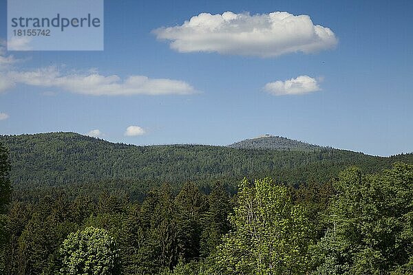 Blick zum Lusen  Nationalpark Bayerischer Wald  Deutschland  Europa