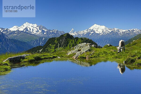 Schweizer Alpen  Mischabelgruppe  Blick von Huhfluh  Matterhorn  Weißhorn  Wallis  Schweiz  Europa