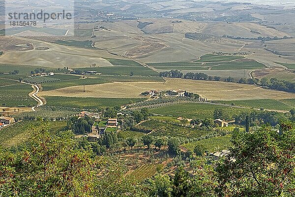 Val d'Orcia  Toskana  Italien  Europa