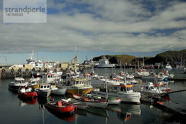 Boote im Hafen  Stykkisholmur  Vesturland  Halbinsel Snaefellsnes  Island  Europa