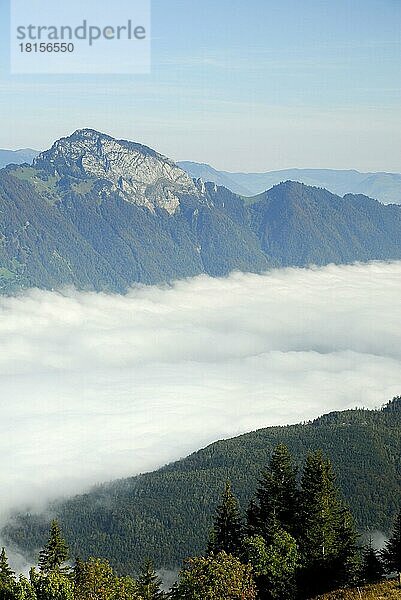 Tal im Nebel  see  Vierwaldstätter See  bei Niederbauen  Kanton Nidwalden  Schweiz  Europa