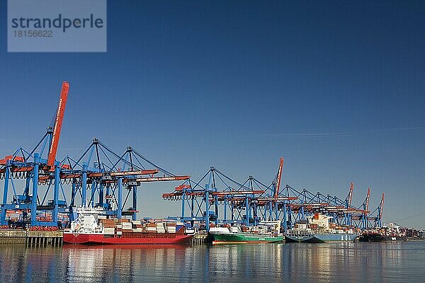 Containerschiffe und Feeder am HHLA Container Terminal Altenwerder  CTA  Hamburg  Deutschland  Europa