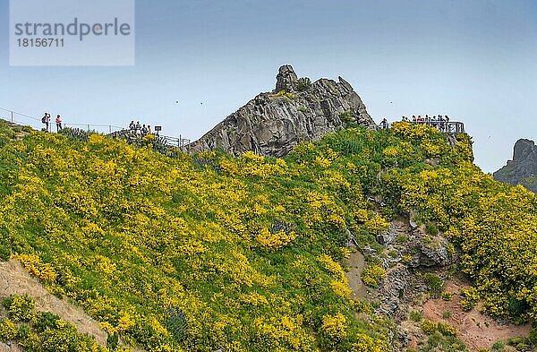 Aussichtspunkt Miradouro Ninho da (Manta)  Zentralgebirge  Madeira  Portugal  Europa