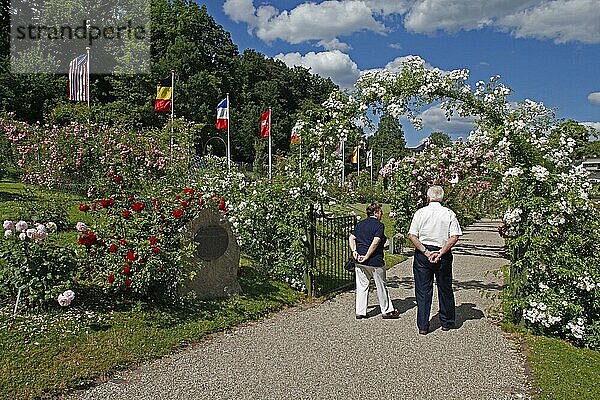 Rosengarten  auf dem Beutig  an der Moltkestrasse  Baden-Baden  Baden-Württemberg  Deutschland  Europa