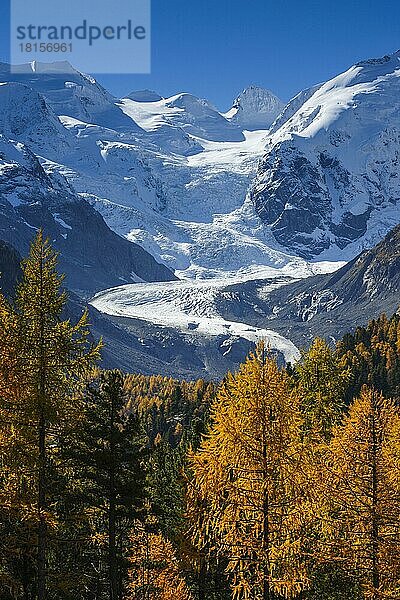 Morteratsch Gletscher  Ober Engadin  Graubünden  Schweiz  Europa