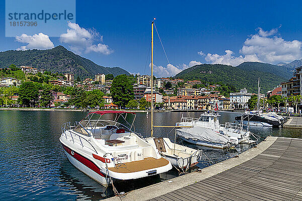 Boote im kleinen Hafen von Omegna  Omegna  Ortasee  Bezirk VCO  Italienische Seen  Italien  Europa