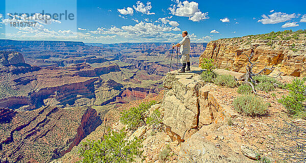 Ein Wanderer blickt von einer Klippe in der Nähe des Zuni Abyss am Grand Canyon nach Westen  Zuni Point im Hintergrund rechts der Mitte  Grand Canyon National Park  UNESCO Weltkulturerbe  Arizona  Vereinigte Staaten von Amerika  Nordamerika