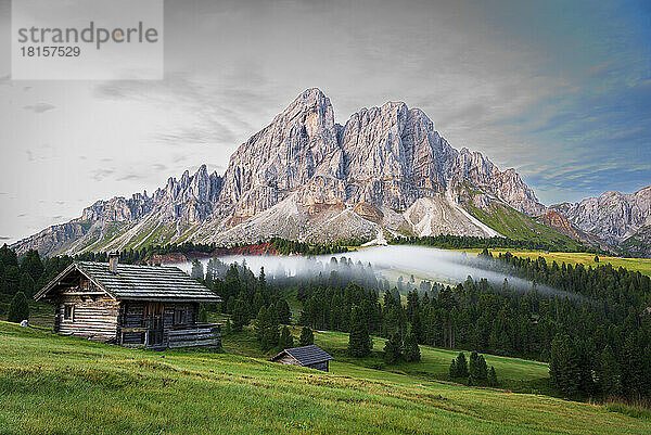 Berghütten zwischen grünen Wäldern mit Nebel am Morgen  Sass De Putia  Passo delle Erbe  Dolomiten  Südtirol  Italien  Europa