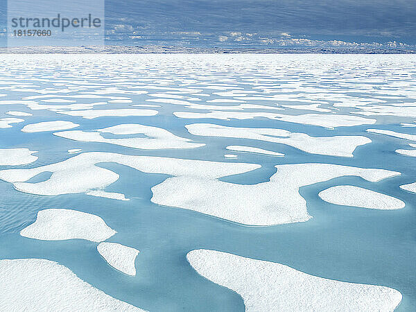 Schmelzwasserpools im 10/10tel-Packeis im McClintock-Kanal  Nordwestpassage  Nunavut  Kanada  Nordamerika