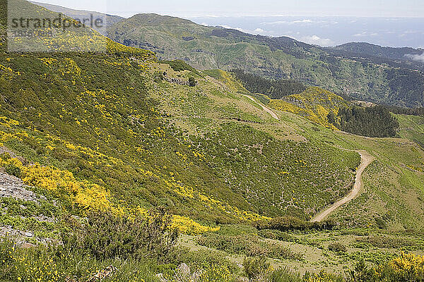 Hügel und Berge im farbenfrohen Hinterland von Madeira vom Aussichtspunkt Pedras aus gesehen  Madeira  Portugal  Atlantik  Europa