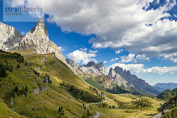 Pale di San Martino  Naturpark Paneveggio  Passo Rolle  Dolomiten  Trentino  Italien  Europa