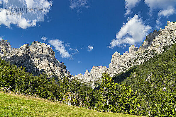 Dolomiten  Canali-Tal  Tonadico  Trentino  Italien  Europa