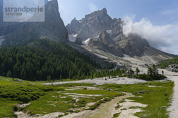 Cimon della Pala im Sommer  Venegiatal  Park Pale di San Martino  Dolomiten  Trentino  Italien  Europa