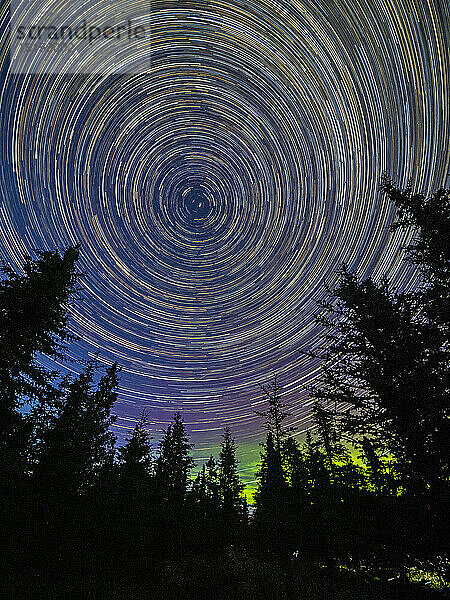 Astrofotografie mit Langzeitbelichtung  die die Sterne und das Nordlicht im Denali National Park  Alaska  Vereinigte Staaten von Amerika  Nordamerika  zeigt