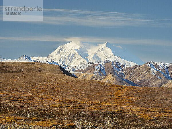Ein Blick auf den höchsten Berg Nordamerikas  den schneebedeckten Denali  Denali National Park  Alaska  Vereinigte Staaten von Amerika  Nordamerika