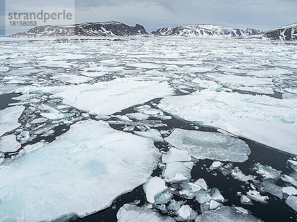 Erstjähriges Meereis auf der Nordwestseite von Spitzbergen  Svalbard  Norwegen  Europa