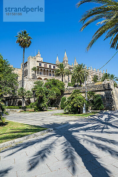 Kathedrale von Palma im Sommer  Palma  Mallorca  Balearische Inseln  Spanien  Mittelmeer  Europa