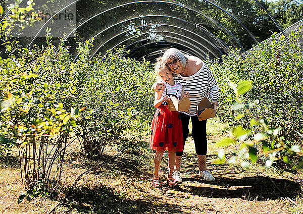 Oma und Enkelin pflücken gemeinsam Blaubeeren