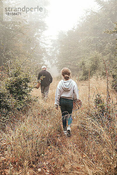Spaziergang an der frischen Luft im nebligen Herbstwald