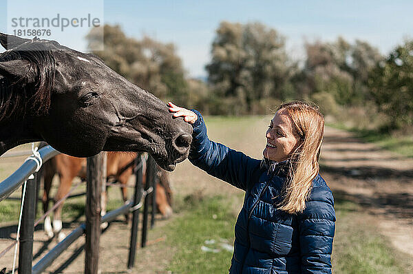 Das Mädchen streichelt die Schnauze eines zufriedenen Pferdes.