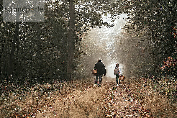 Spaziergang an der frischen Luft im nebligen Herbstwald