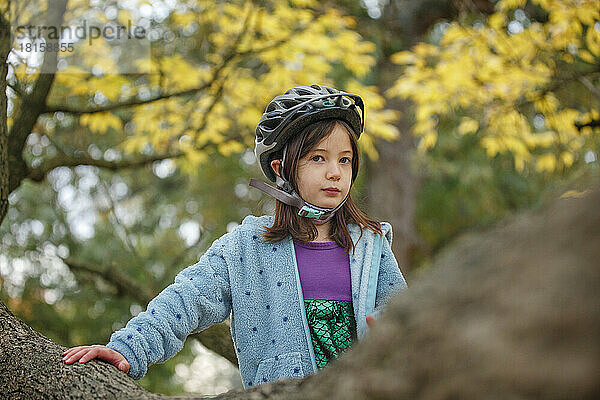 Ein kleines Mädchen mit Fahrradhelm sitzt stolz im Geäst
