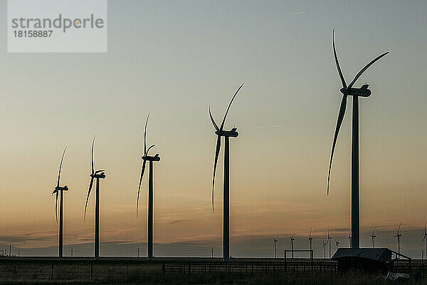 Windmühlen eines industriellen Windparks bei Sonnenuntergang  Adrian  Texas