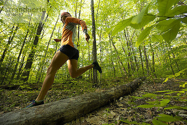 Frau läuft in einem sonnigen frühlingsgrünen Wald
