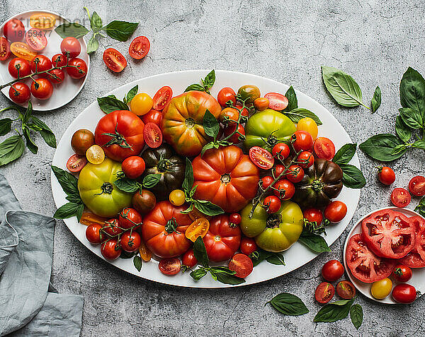 Draufsicht auf einen Teller mit Tomaten und Basilikum auf grauem Hintergrund.