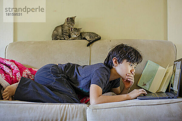 Ein Junge arbeitet am Computer auf der Couch mit zwei Kätzchen