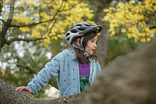 Ein kleines Mädchen mit Fahrradhelm klettert im Herbst auf einen Baum