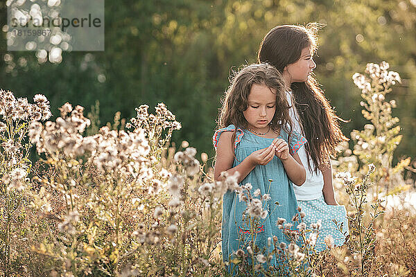 zwei Mädchen in der Natur pflücken Blumen in der untergehenden Sonne Porträt
