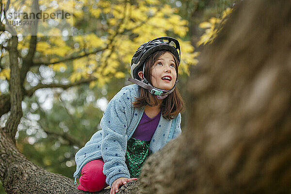 Ein kleines Mädchen mit Fahrradhelm klettert im Herbst auf einen großen Baum