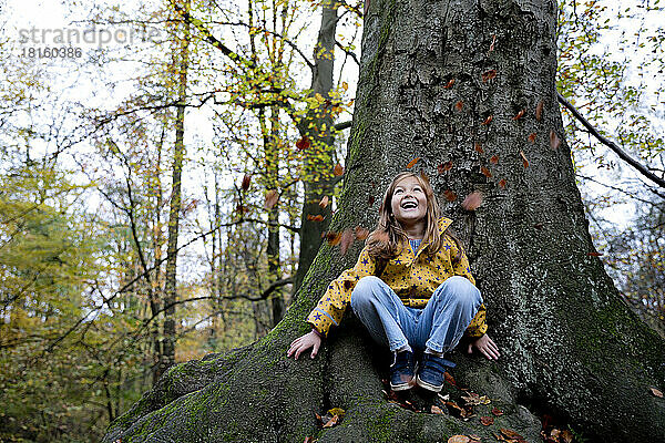 Cheerful girl sitting on tree trunk watching leaves falling in forest