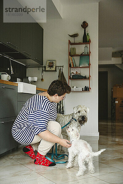 Frau streichelt Hunde in der heimischen Küche