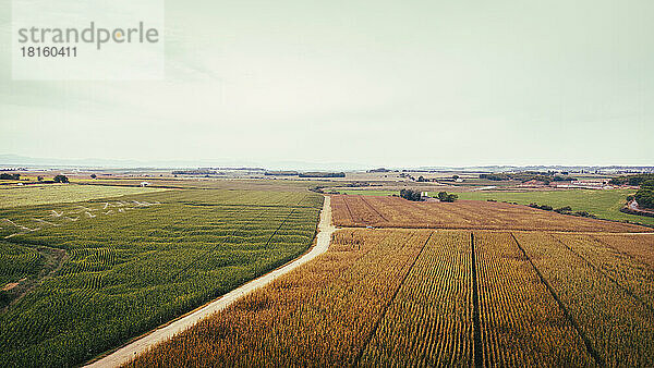 Spanien  Katalonien  Lleida  Luftaufnahme von Maisfeldern auf dem Land