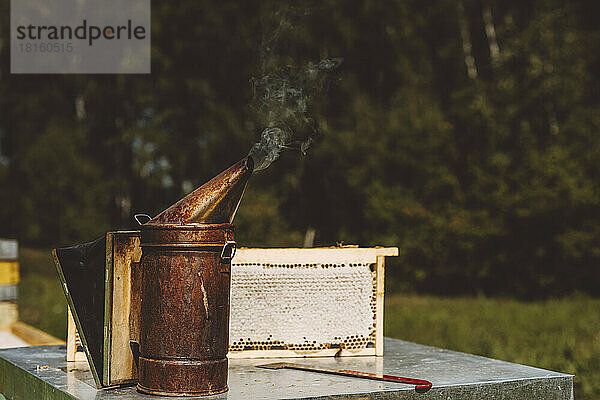 Bienenraucher am Bienenstockrahmen auf dem Tisch