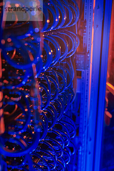 Computerdatenkabel mit rotem und blauem Neonlicht im Kontrollraum