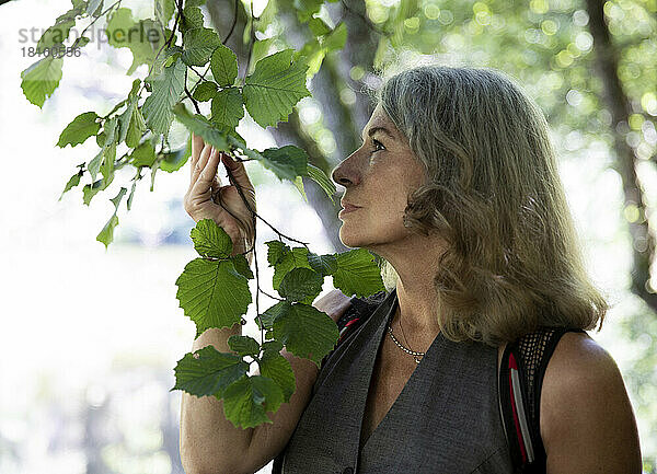 Ältere Frau mit grauem Haar berührt Blätter