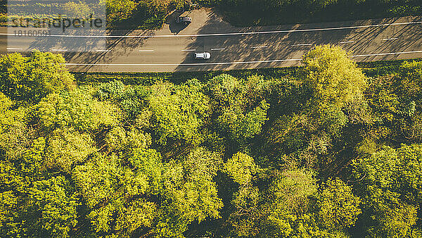 Autos auf der Autobahn inmitten grüner Bäume